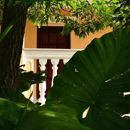 Domus Aurea *